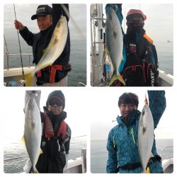 ビッグファイター 釣果