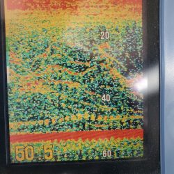 サンマリン 釣果