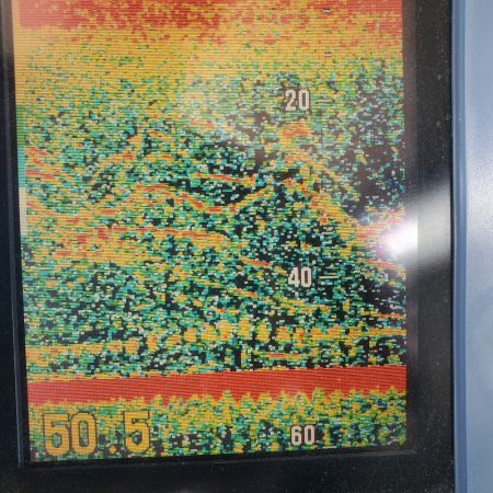 サンマリン 釣果