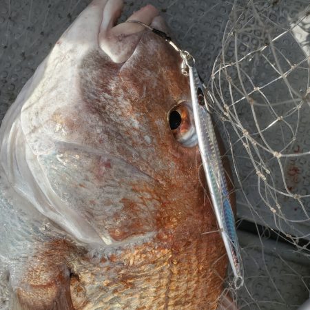 サンマリン 釣果