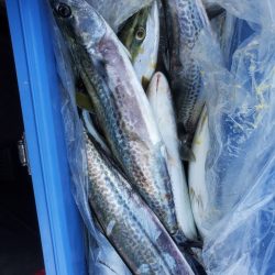 サンマリン 釣果