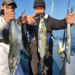 サンマリン 釣果