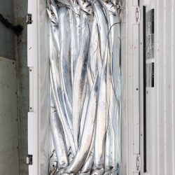 フィッシング キッタカ 釣果