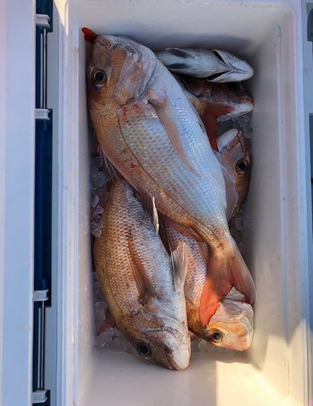 フィッシング キッタカ 釣果