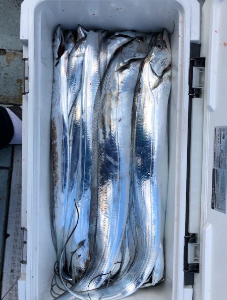 フィッシング キッタカ 釣果