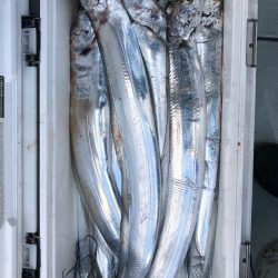 フィッシング　キッタカ 釣果