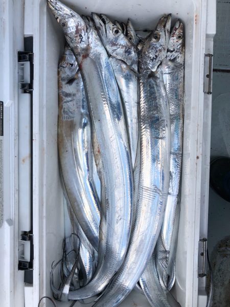 フィッシング　キッタカ 釣果