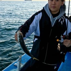 ヤザワ渡船 釣果