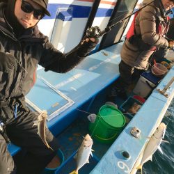 ヤザワ渡船 釣果