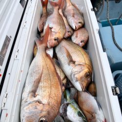 第二八坂丸 釣果