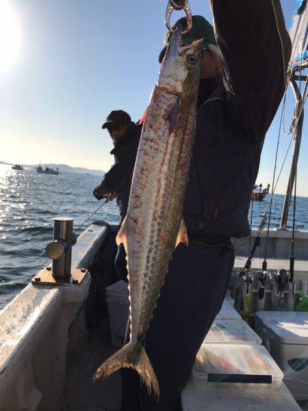 ランスルー 釣果