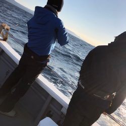 ＴＡＲＯＭＡＲＵ 釣果