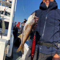 ＴＡＲＯＭＡＲＵ 釣果