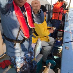 ヤザワ渡船 釣果