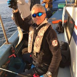 ヤザワ渡船 釣果