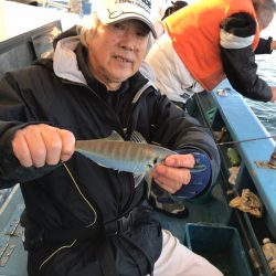 ヤザワ渡船 釣果