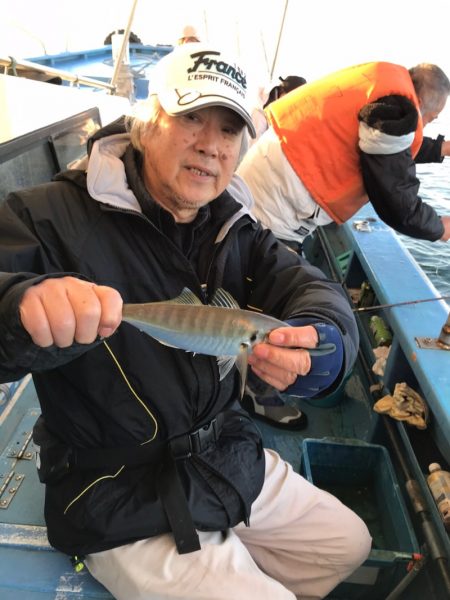 ヤザワ渡船 釣果