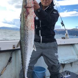 フィッシング　キッタカ 釣果