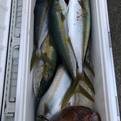 あみや渡船 JIGBOY 釣果