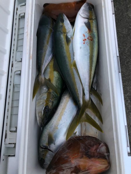 あみや渡船 JIGBOY 釣果