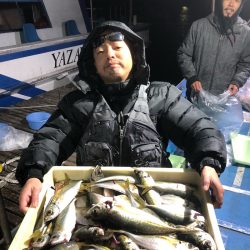 ヤザワ渡船 釣果