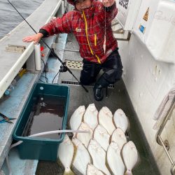 シーランチ 釣果