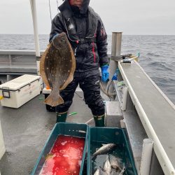 シーランチ 釣果