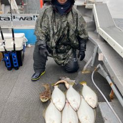 シーランチ 釣果