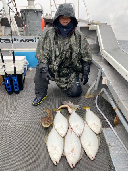 シーランチ 釣果