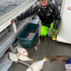 シーランチ 釣果