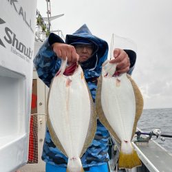 シーランチ 釣果