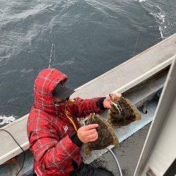 シーランチ 釣果
