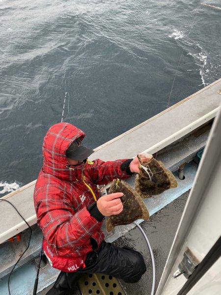 シーランチ 釣果