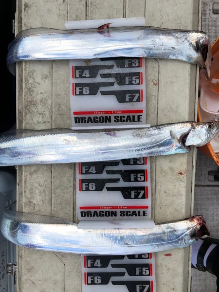 フィッシング　キッタカ 釣果