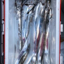 フィッシング　キッタカ 釣果