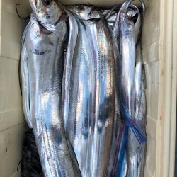 フィッシング　キッタカ 釣果