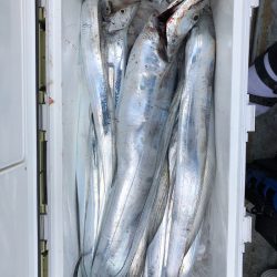 フィッシング　キッタカ 釣果