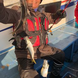 ヤザワ渡船 釣果