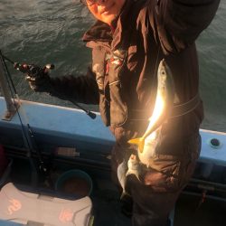 ヤザワ渡船 釣果