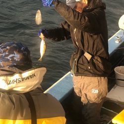 ヤザワ渡船 釣果
