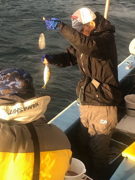 ヤザワ渡船 釣果