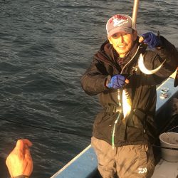 ヤザワ渡船 釣果