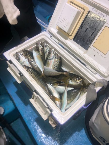 ヤザワ渡船 釣果