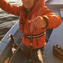 ヤザワ渡船 釣果