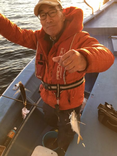 ヤザワ渡船 釣果