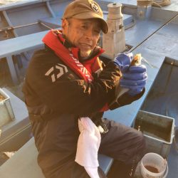 ヤザワ渡船 釣果