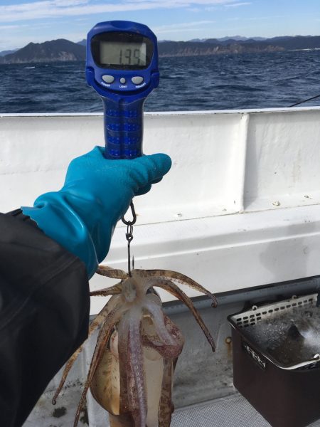 渡船屋たにぐち 釣果