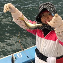 ヤザワ渡船 釣果