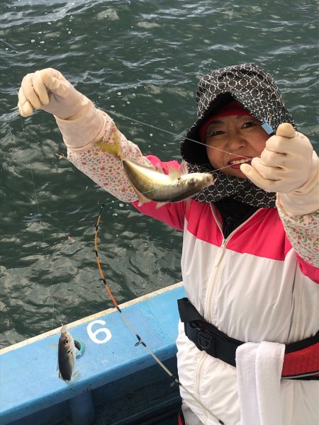 ヤザワ渡船 釣果
