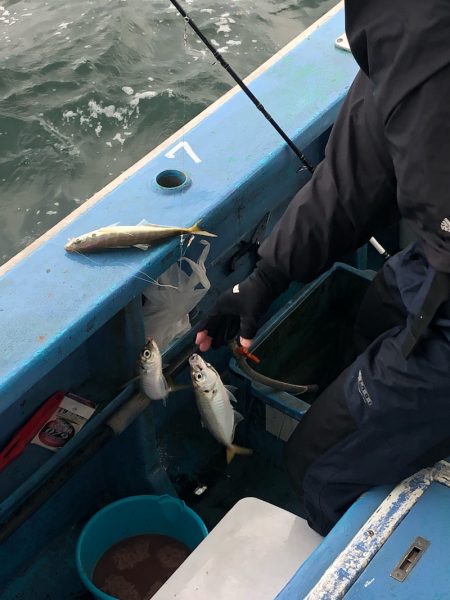 ヤザワ渡船 釣果